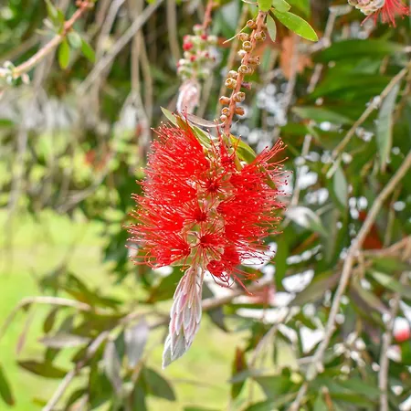 Hotel Giabeos Skiathos