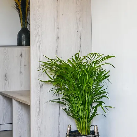 Giabeos Skiathos Troulos